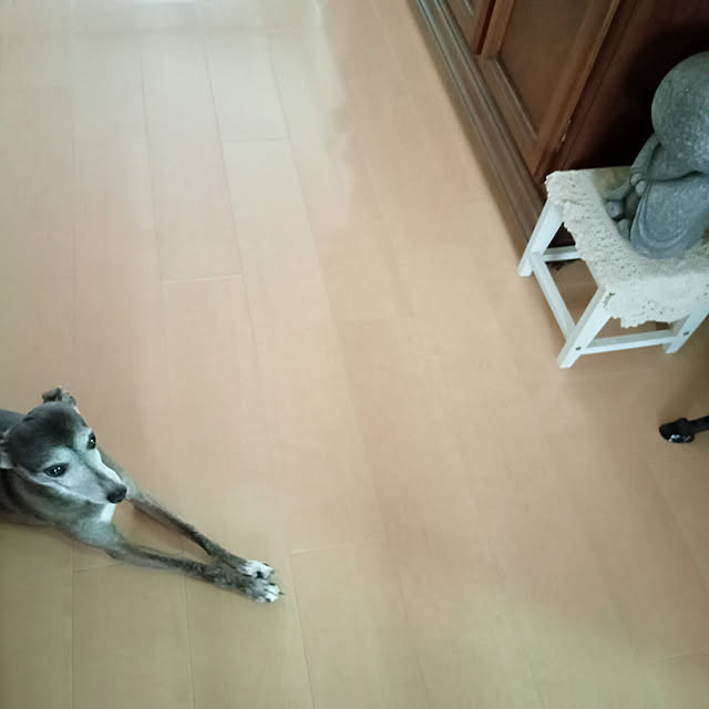 moruさんの実例写真