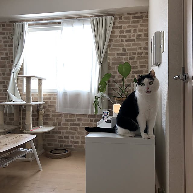 k.Iさんの実例写真