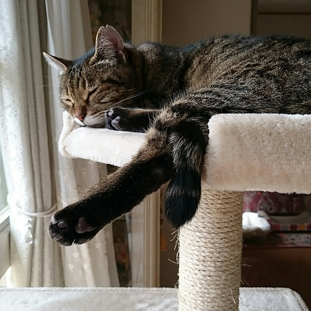 lilyさんの実例写真