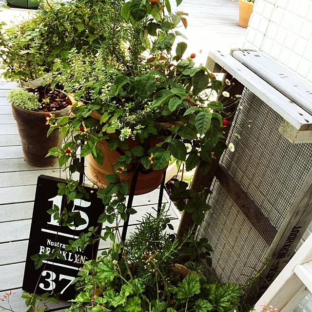mamezoさんの実例写真