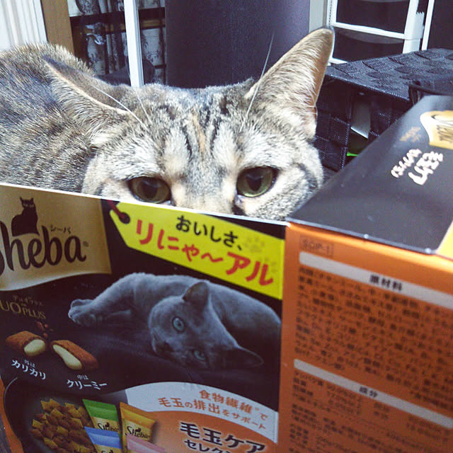 runaさんの実例写真