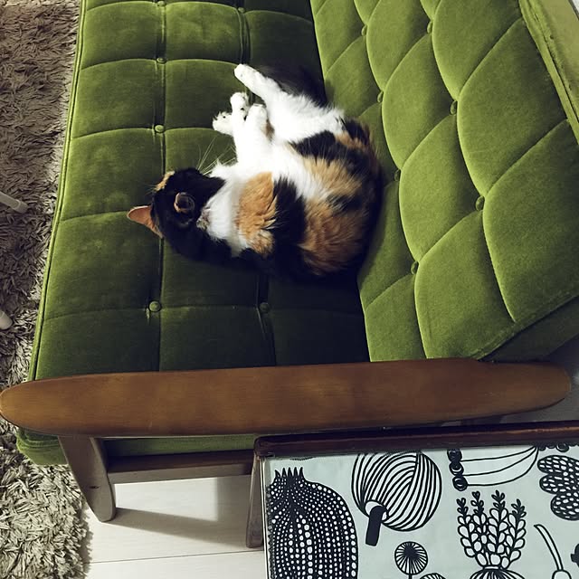 tawashimarukoさんの実例写真