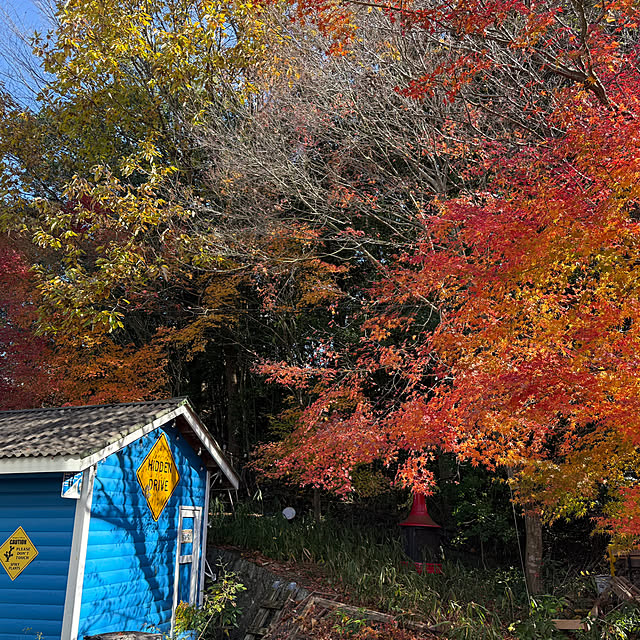 ngc6093さんの実例写真