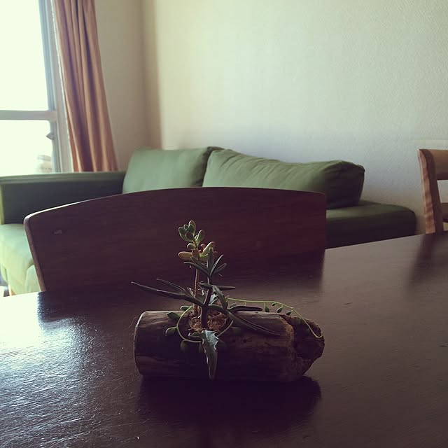 amaneq_greenzさんの実例写真