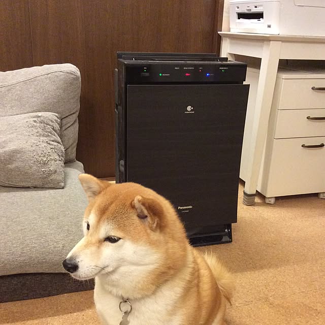 Atukoさんの実例写真