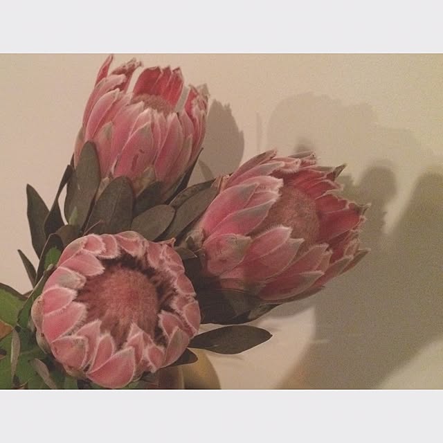 MEILINさんの実例写真