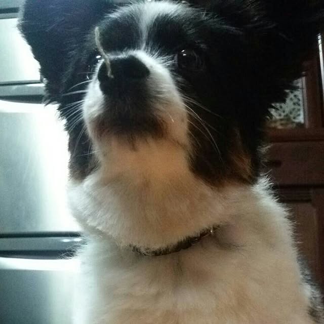 Smileberryさんの実例写真