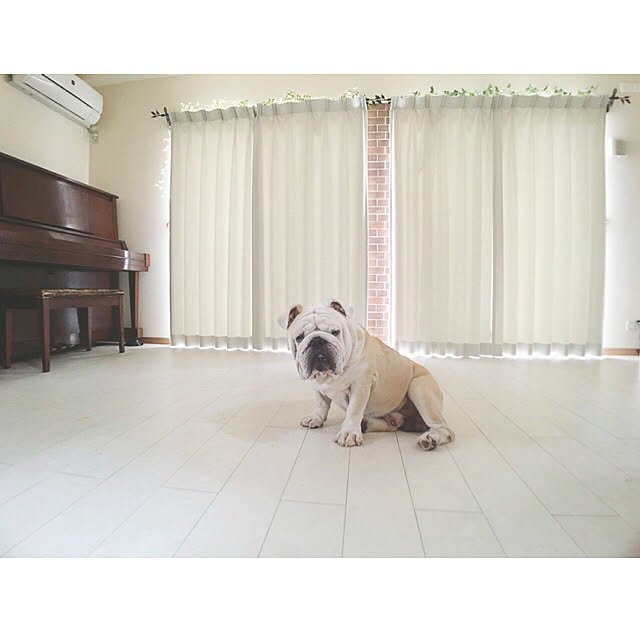 cheekayoさんの実例写真