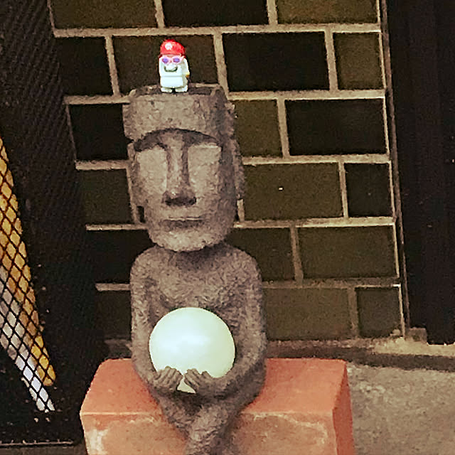 実例写真