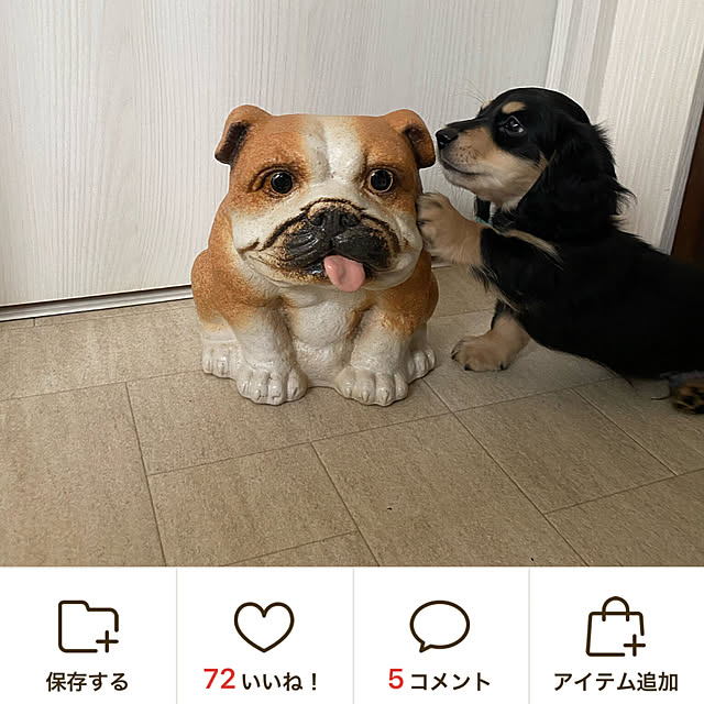uninekoさんの部屋