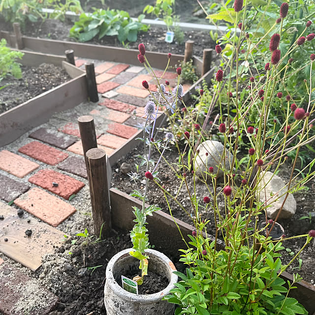 Maruさんの部屋