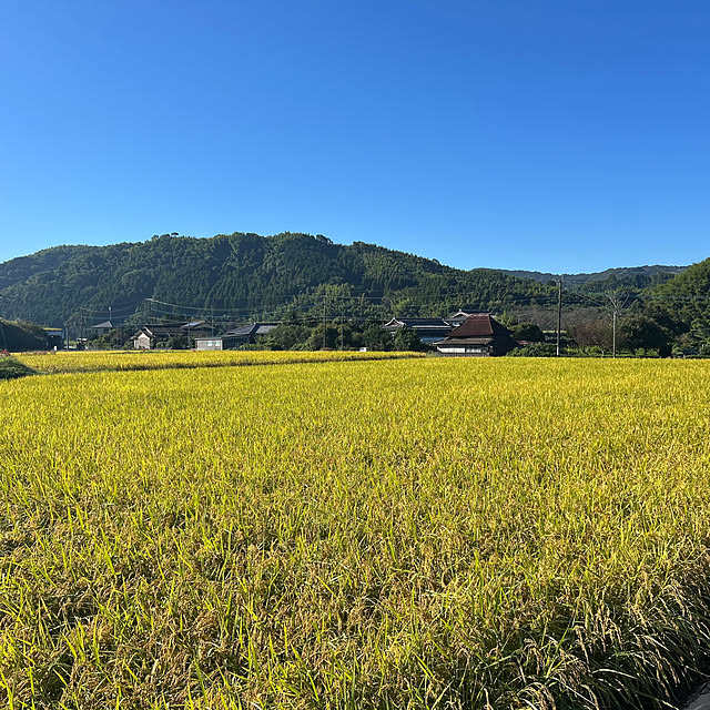 banbinaさんの部屋