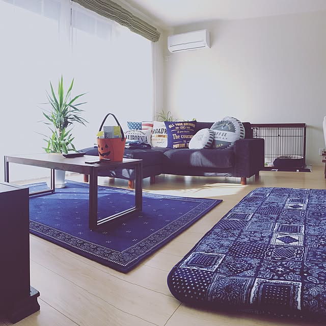 kinpatuno174BBAさんの実例写真