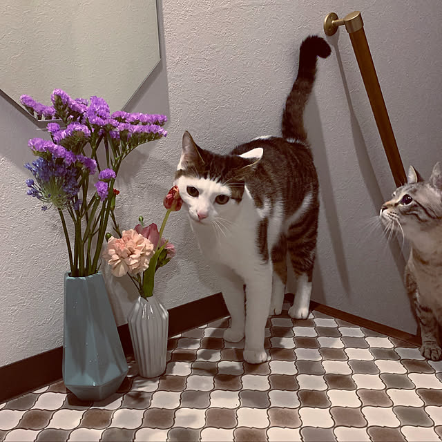 ayuさんの実例写真