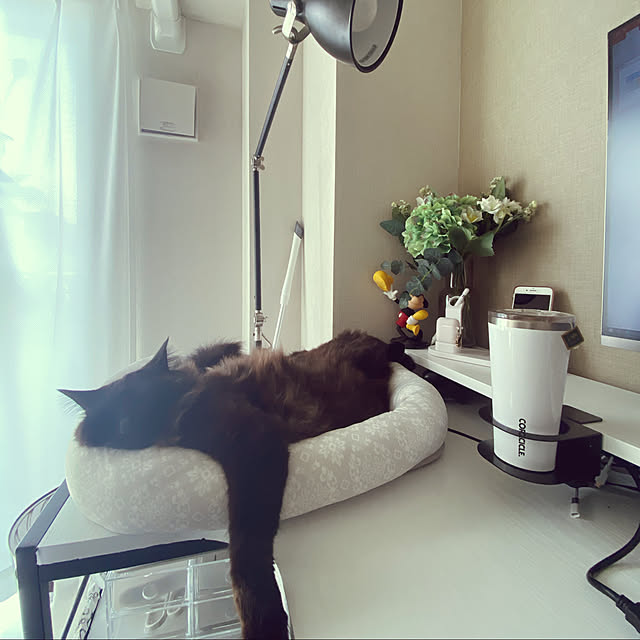 akihcclipさんの実例写真