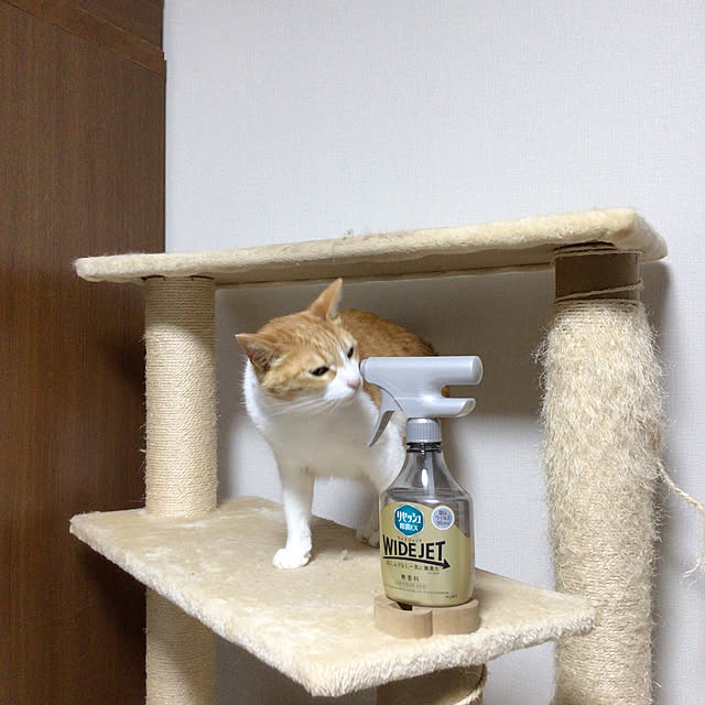 houenさんの部屋