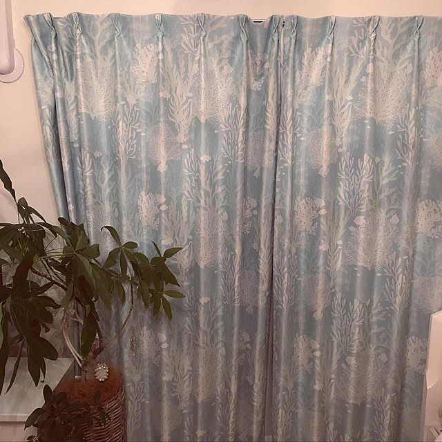rinrinさんの実例写真