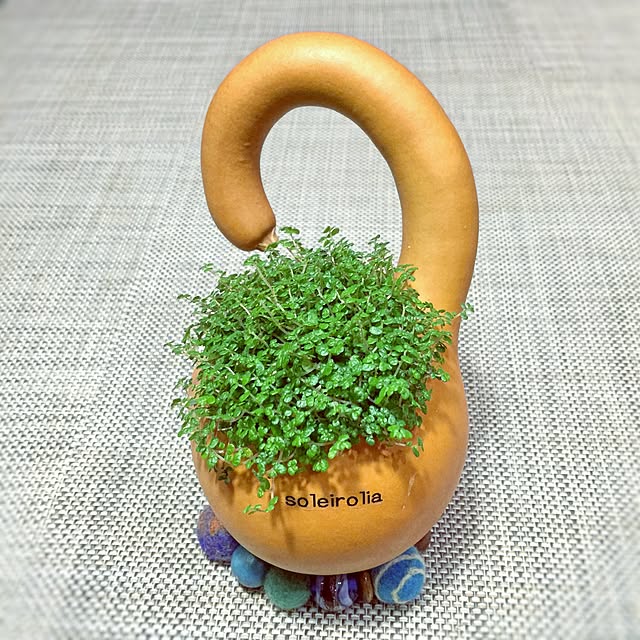 satochanさんの実例写真