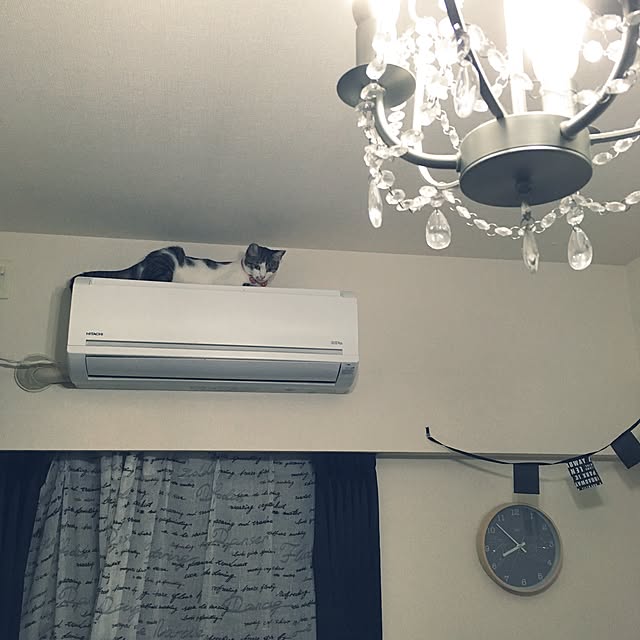 tiara0607さんの実例写真