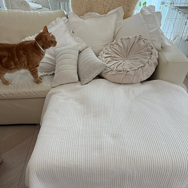 m623さんの実例写真