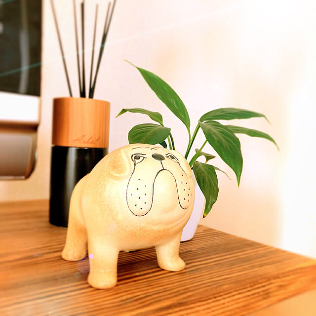 an.hiroさんの実例写真