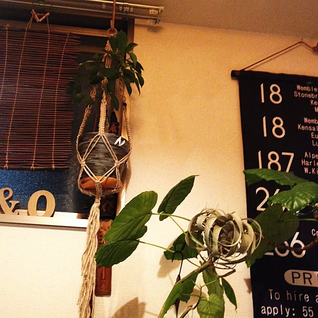 rrikiyさんの実例写真