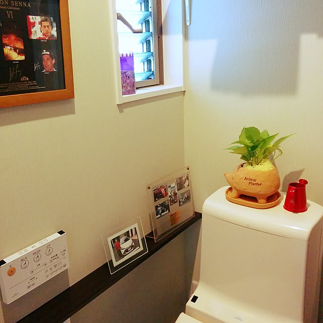 mutsukojakeさんの実例写真