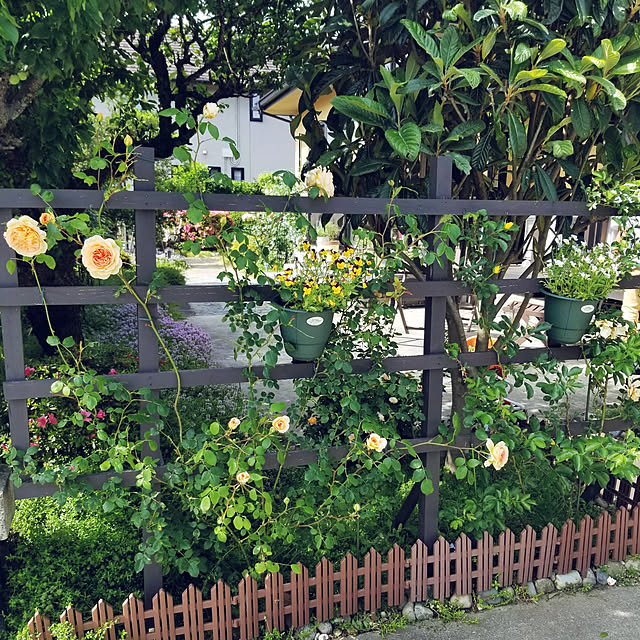 exileingkさんの実例写真