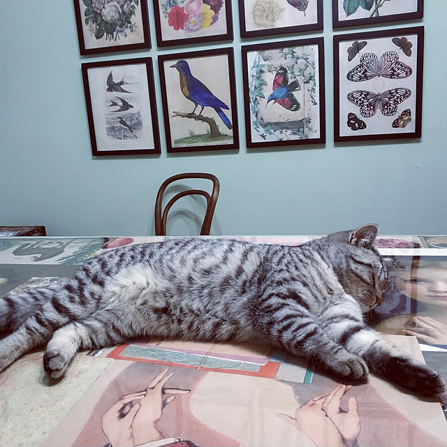 wendyさんの実例写真