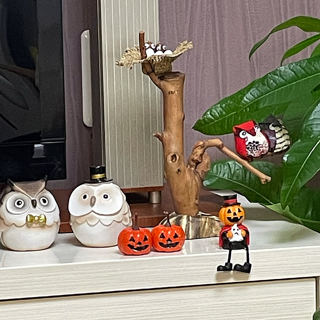 himeiさんの実例写真