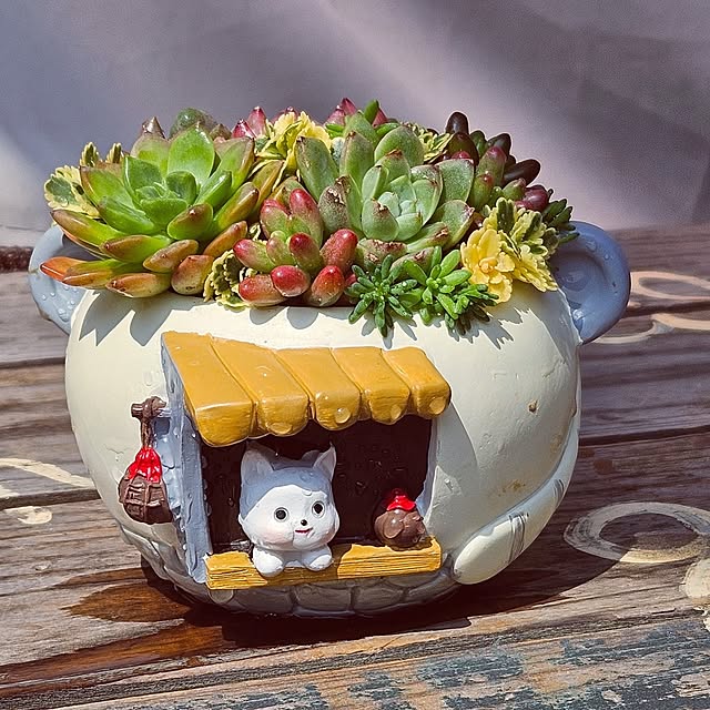mocomocoさんの部屋