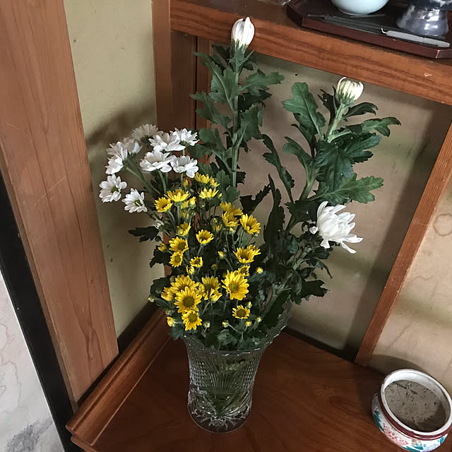 aoinokimiさんの部屋