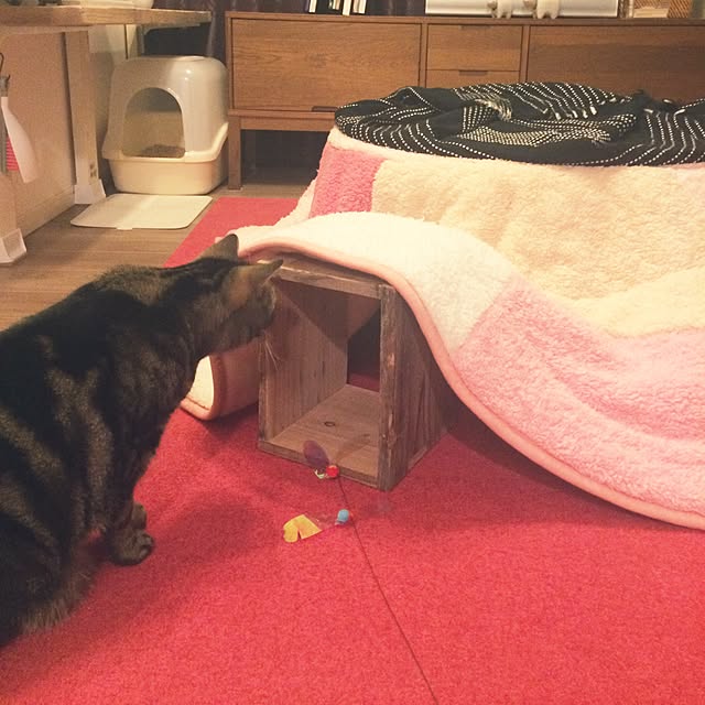 mikomaruさんの実例写真