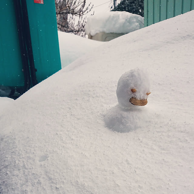 kanokomameさんの実例写真