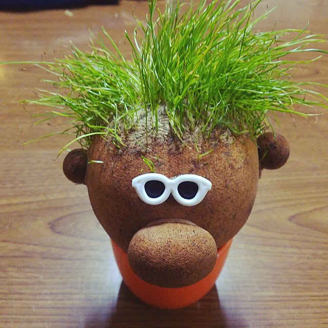 kazuminさんの実例写真