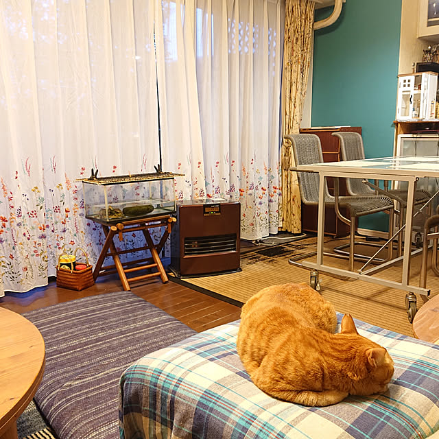 okyosan101さんの実例写真