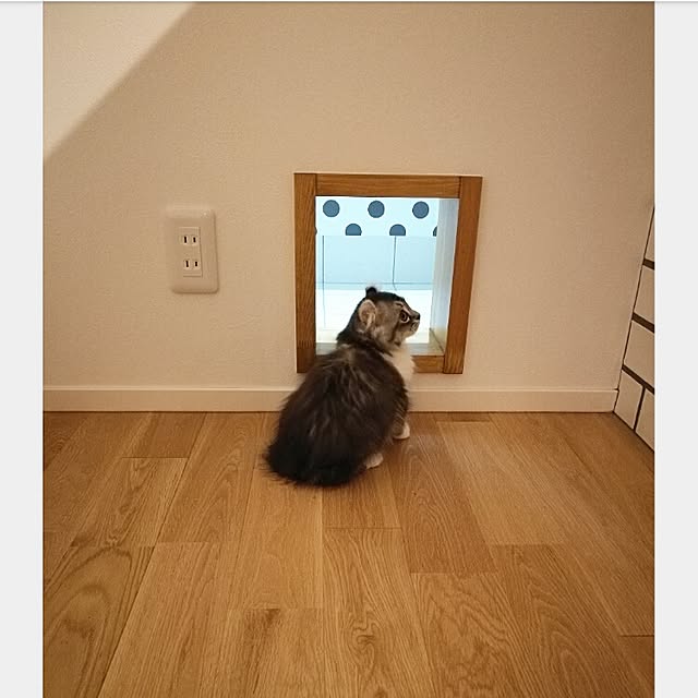 aki8112さんの実例写真