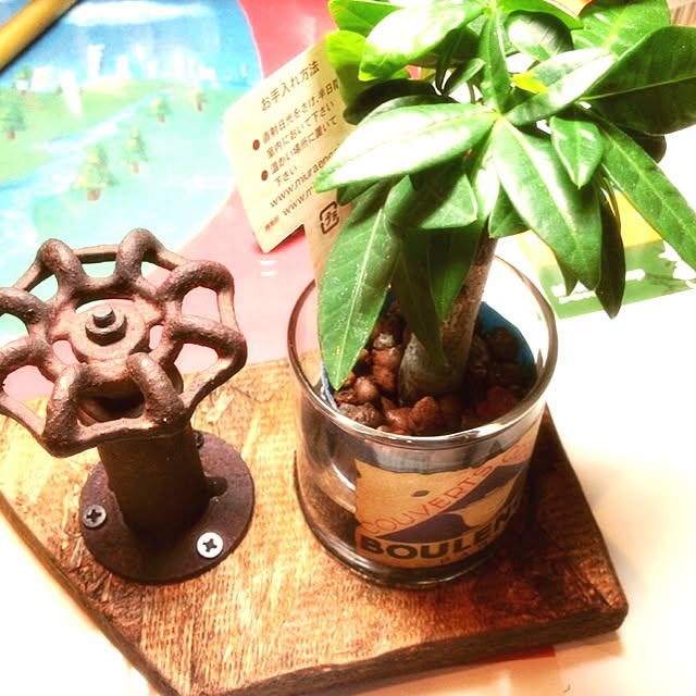 Drum_can_Tramさんの実例写真
