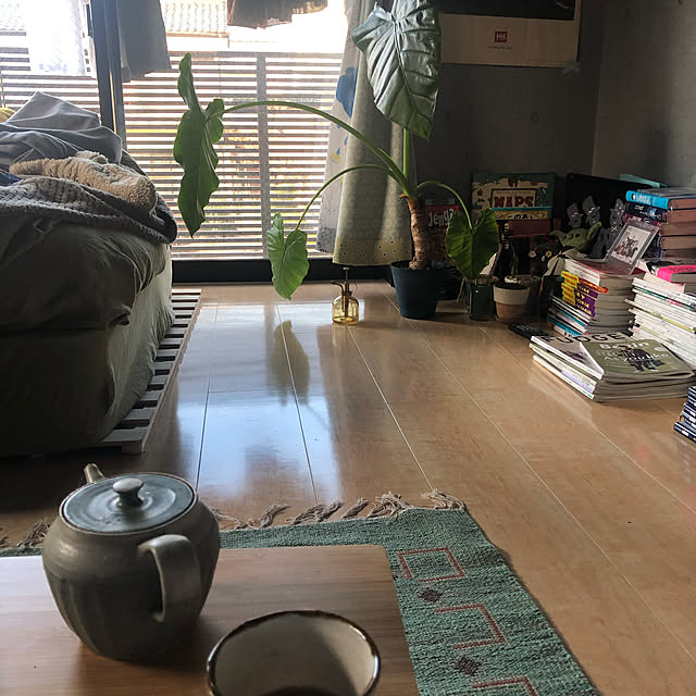 KAESARUさんの実例写真
