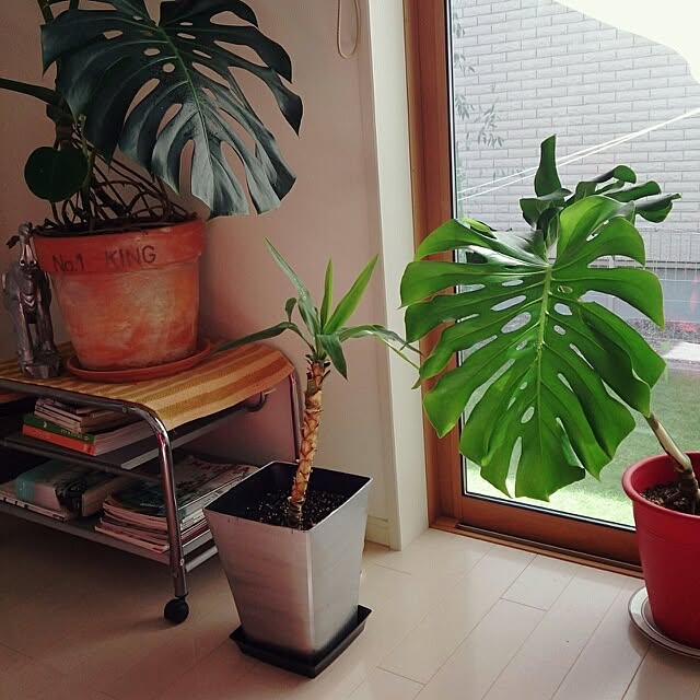 urchinさんの実例写真