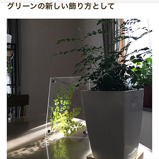 niconさんの実例写真