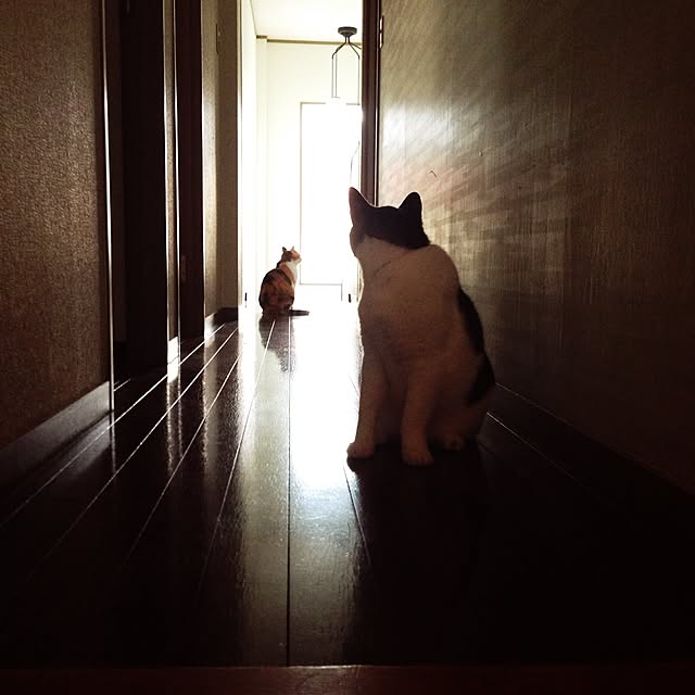 su-chanさんの実例写真