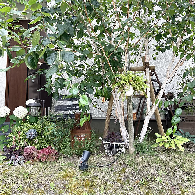 kobami_styleさんの部屋