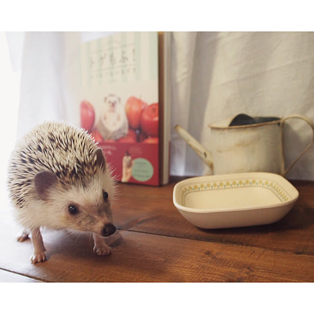 yu_kiさんの実例写真