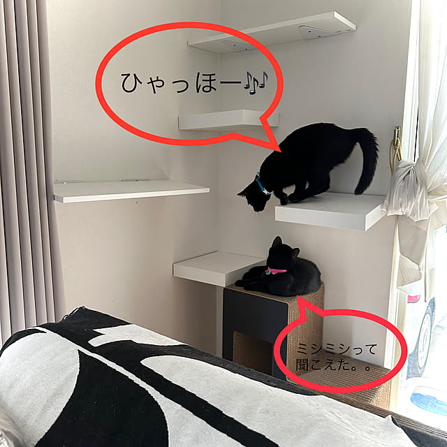 mi-miさんの部屋