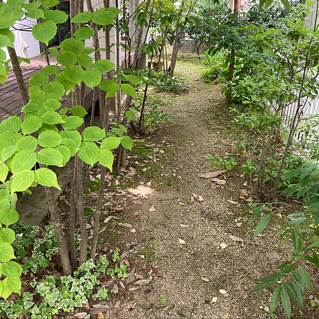 mkさんの実例写真