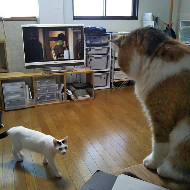 yukieさんの実例写真