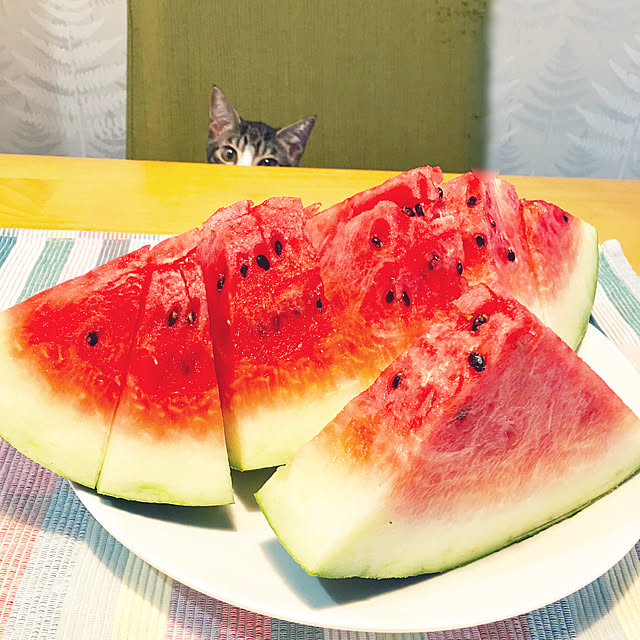 ippu0303Karinさんの実例写真