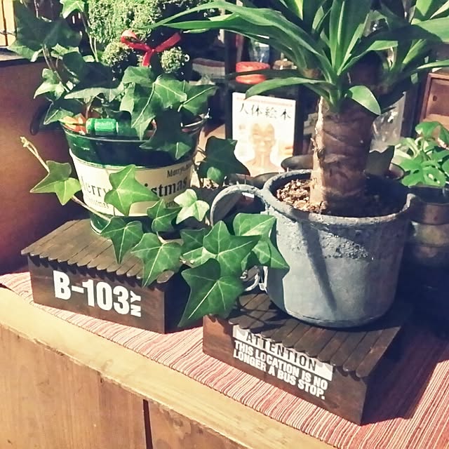 shinji19730515さんの実例写真