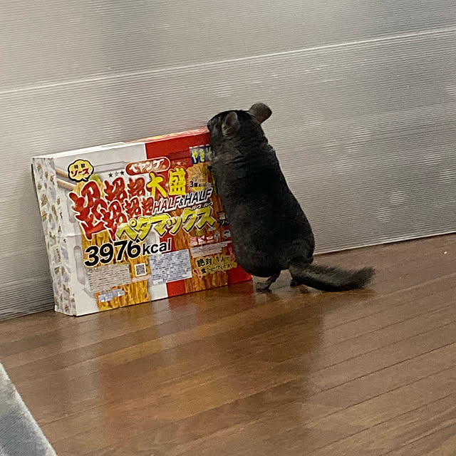 milkさんの実例写真